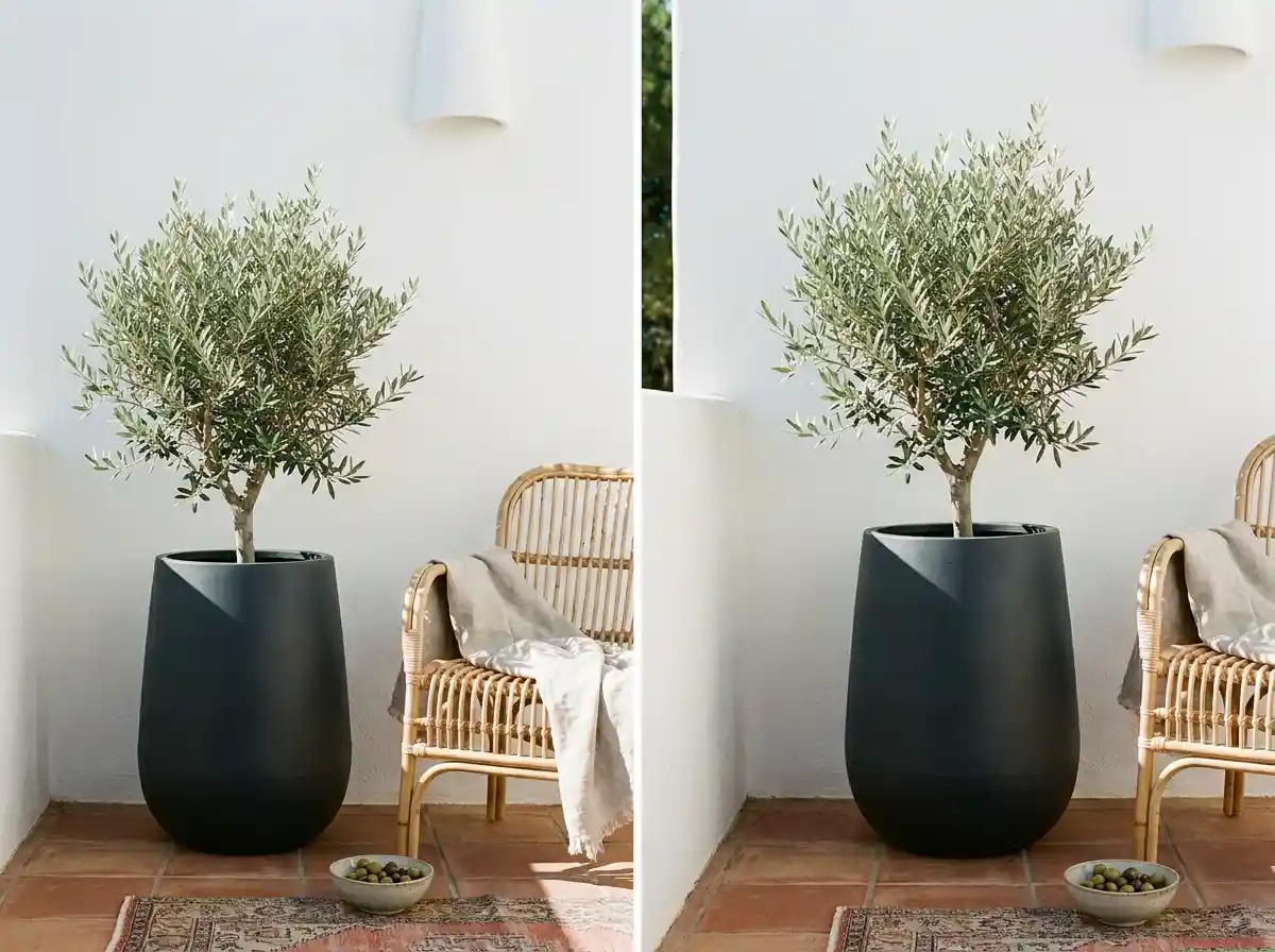 14. Plant a Statement Potted Tree or Tall Grass